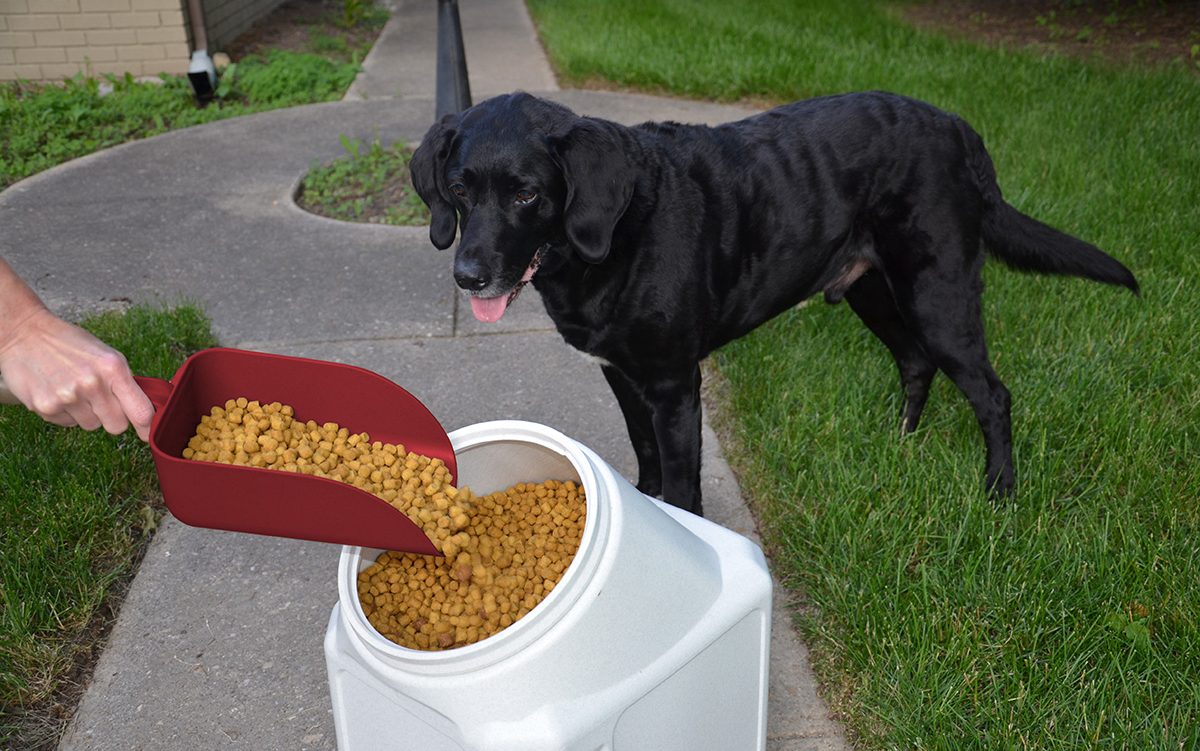 Handi Scoop scooping dog food from a container